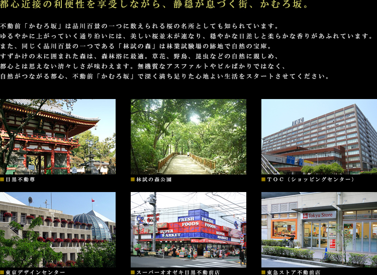 ���P�[�V����01