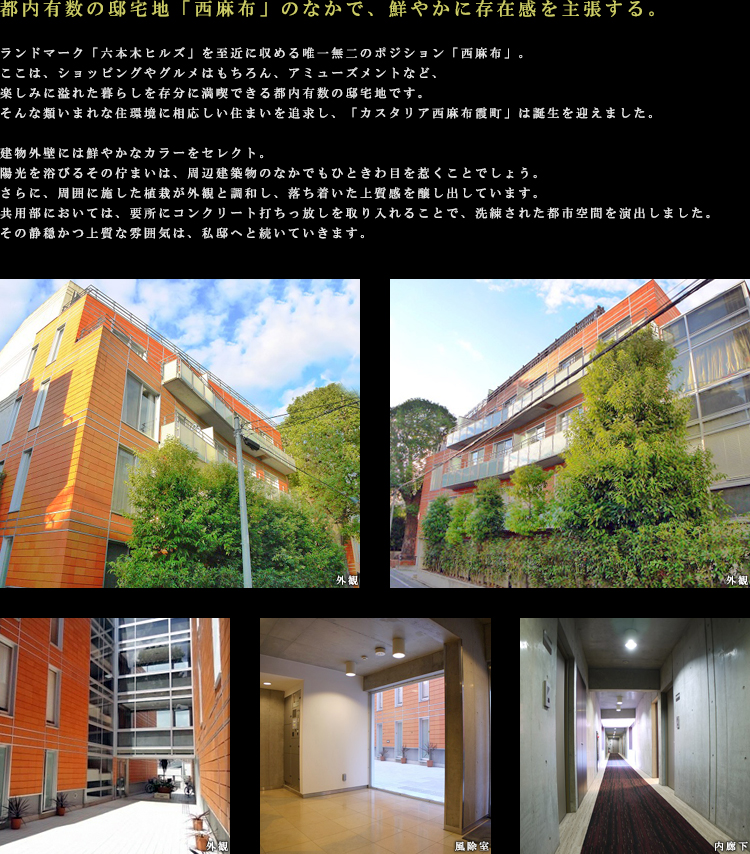 �R���Z�v�g01